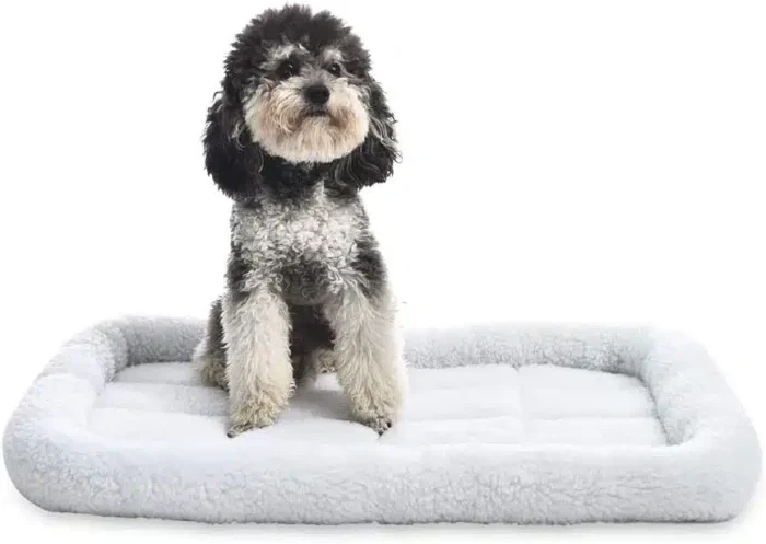 Amazon Basics 29-Inch Padded Pet Bolster Bed for Dog, White, 29.13"L x 18.9"W x 2.76"H - Image 2