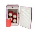 Wellness 4L Portable Mini Cosmetics, Beauty, Makeup and Skincare Cooler - Image 3
