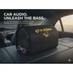 CAR SUBWOOFER