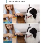 eufy Security Indoor Cam E220, Camera for home Security, Pan & Tilt, Dog/Pet Camera, 2K Wi-Fi Plug-in, Motion Tracking, Motion Only Alerts, Night Vision, HomeBase 3 Compatible, Voice Assistant Support - Image 2